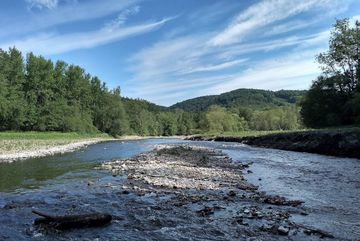Die Agger bei Engelskirchen nach Öffnung des Wehres Ohl-Grünscheid - frei fließender Fluss in Sicht. 
