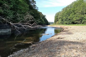 Die Agger bei Engelskirchen nach Öffnung des Wehres Ohl-Grünscheid - frei fließender Fluss in Sicht. 