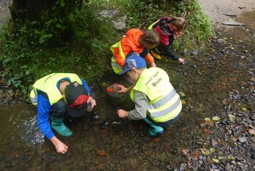 Kinder der NaturErlebnis-Werkstatt in Alsdorf (BUND Aachen Land) erkunden Lebewesen in einem Bach.