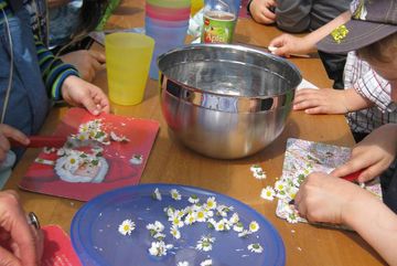 Kinder lernen mit wilden Kräutern und Blumen leckeres Essen herzustellen.