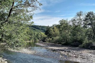 Die Agger kann wieder frei fließen. Das Winterhochwasser schuf eine natürliche Flusslandschaft.