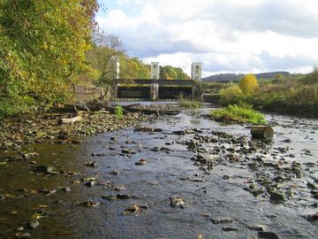 Bei Normalwasser fließen nur 500 Liter / Sekunde aus dem Stau Ehreshoven I durch die Rohre in das alte Aggerbett. Viel zu wenig für Lachse, die ansonsten in dem ca. 2,6 km langen alten Aggerbett ein hervorragendes Habitat hätten. Die Bezirksregierung Köln hat es bislang nicht vermocht, die gesetzlich vorgegebene Mindestwassermenge durchzusetzen. Auch der Rat der Gemeinde Engelskichen fordert dies seit Jahren.
