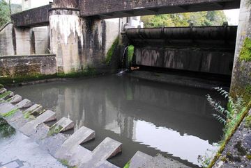 Bild 3: Staumauer von Ehreshoven 1 