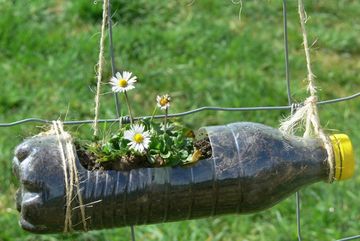 Upcycling: Eine Gänseblümchenvase