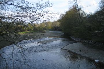 Der Rückstaubereich oberhalb der Brücke. Auch hier könnte eine natürliche Flusslandschaft mit Aue wiederhergestellt werden. 