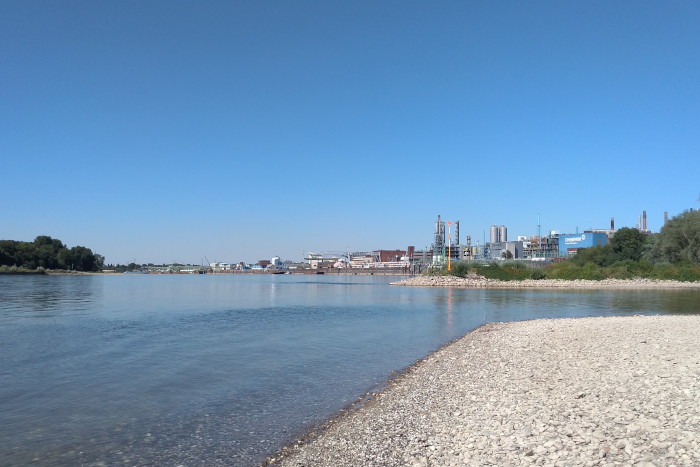 Rheinverschmutzung durch Currenta wurde verschleiert – Aufklärung und Konsequenzen gefordert!