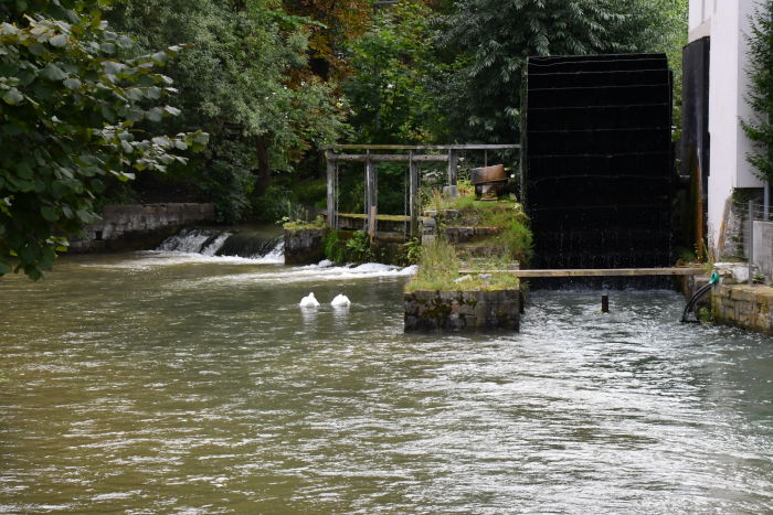 Das ist die von Oliver Krischer gelobte Stümpelsche Mühle mit dem unterschlächtigen Mühlrad (rechts). 