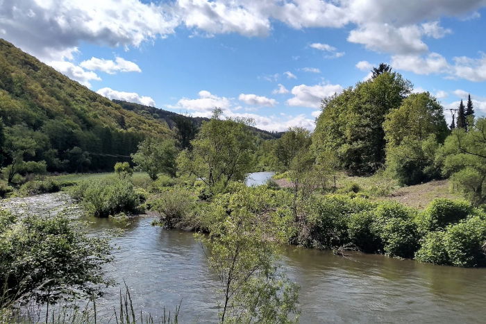 Renaturierte Sieg oberhalb Windeck-Rosbach.